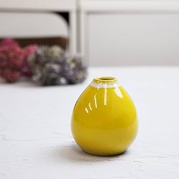 415MVAFJ+rL._AC_UF350, 415MVAFJ+rL._AC_UF350,